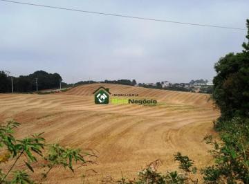 7424321.jpg · TERRENO RURAL - PALMITAL - ARAUCÁRIA