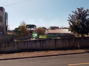 7290589.jpg · TERRENO - JARDIM IGUAÇU