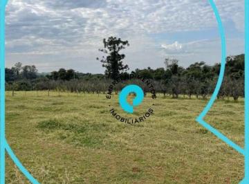 Haras com 4 dormitórios à venda, 48400 m².JPG · Haras com 4 dormitórios à venda, 48400 m² por R$ 7.500.000,00 - Parque Industrial Floresta - Rolândi