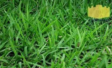 57a0b767f6a264901adcdf3488e190c8116006bf · Terreno à venda, 420 m² por R$ 425.000 - Parque Novo Mundo - Americana/SP