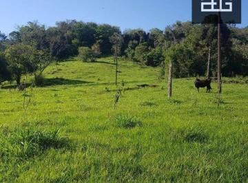 3d7e13e11cb874d9aeac2e8f919861bf8355d804 · Chácara à venda em Boa Vista da Aparecida