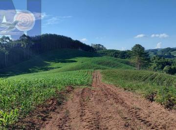 Rural · 145000m² · Área à venda em Bateias de Baixo - Campo Alegre/SC, Rural