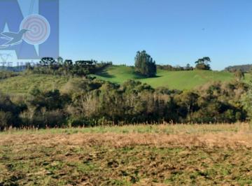Rural · 156000m² · 1 Quarto · Terreno Rural