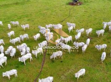 Foto 01 · Fazenda, Belmonte, Belmonte, BA