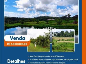 Foto 11 · FAZENDA COM 80 HECTARES EM RIO PRETO DA EVA (P)