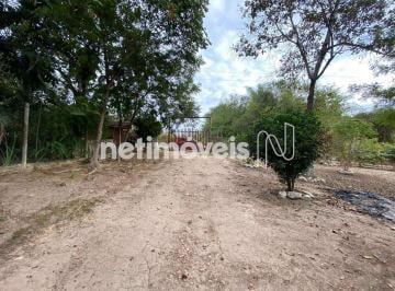 79e11813-a-whatsapp-image-2023-06-16-at-10.31.57.jpeg · Rural à Venda, Flores e Florestas, Betim