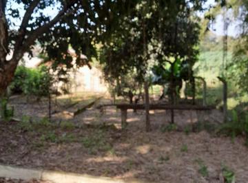 Foto 01 · Terreno, Nova Rio Branco, São Sebastião do Caí, RS