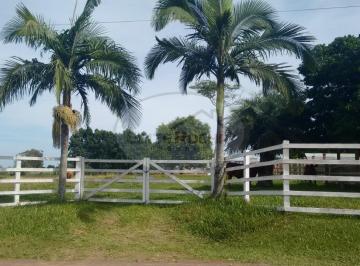 Foto 01 · Sitio, Palmeira, Santo Antônio da Patrulha, RS
