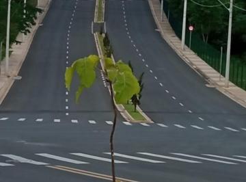 NATUREZA PRESERVADA DE · TERRENO PARK GRAN RESERVE  >  250M2   A PARTIR DE 395.000,00