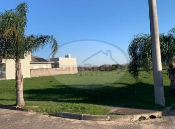 Foto 01 · Terreno, São Rafael, Santo Antônio da Patrulha, RS