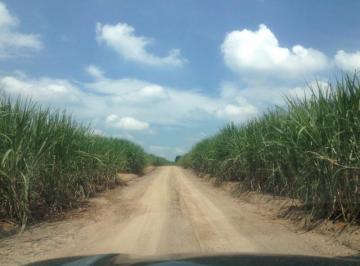 Rural , Piracicaba · Oportunidade Única: Fazenda de 44,45 Alqueires com Localização Privilegiada em Piracicaba SP