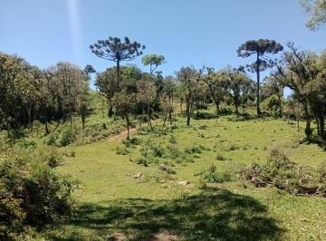 Foto 19 · Terreno à venda em Campo Alegre-SC 1.225.000,00 m² de área no bairro Campo Alegre