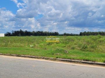 1008_i6bD2pM34_100864a32e3517670.jpg · Imoveis - em Pelotas