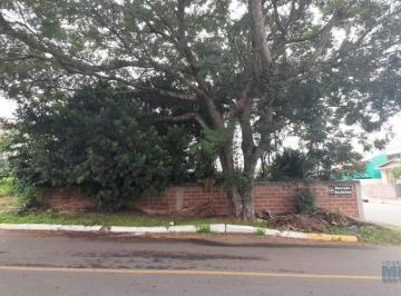 33324_iBt090E8L3NN6_3332462466f8a6a08a.jpg · Imoveis - em São José