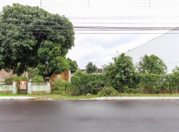 32790_i9SM6T6974233330J_3279062bd0741742ed.jpg · Imoveis - em Nossa Senhora das Graças