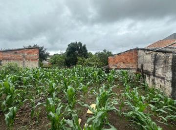 Terreno · 420m² · Amplo Terreno em Maria Antonieta, Pinhais/PR