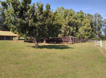 Foto 01 · Fazenda 47 Alqueires 90% de Aproveitamento Terra Mista de Cultura Formada em Pasto 03 nascentes