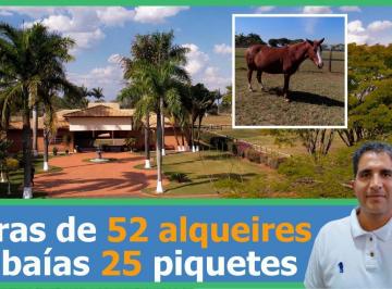 20230911182719161.jpg · Haras para Venda em Cesário Lange, ZONA RURAL, 1 dormitório, 1 suíte, 5 banheiros