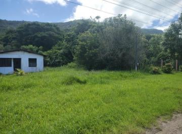 455208_iwL651Cd_4552086579b7d7d3e3a.jpg · Terreno no bairro ARROIO DAS PEDRAS