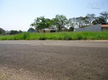 bda0dd21722f6b9ca5be582e3a82201ec9da1362 · Terreno Residencial à venda, Quinta Ranieri, Bauru - TE0197.