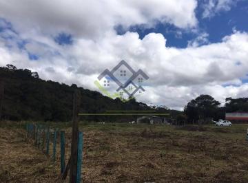 9563f3b7ed79e1d9d41e3c11ed8df5fa622af119 · Área à venda, 8000 m² por R$ 425.000,00 - Vila São Pedro - Suzano/SP