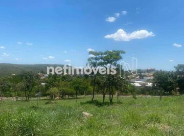 90a0ffcf-6-whatsapp-image-2023-12-14-at-13.52.04-3.jpeg · Lote de 590m² | Condomínio Regularizado | Aceita Financiamento | Estrada do Sol