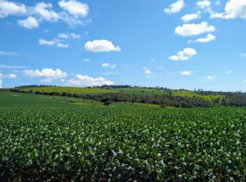 Foto 01 · Fazenda, Centro, Formosa, GO