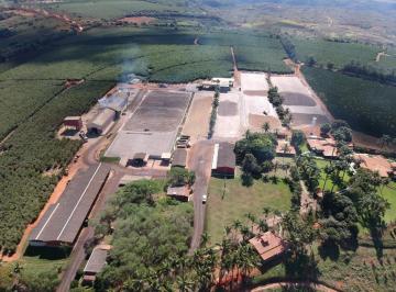 Foto 01 · Fazenda de Café -Área total 1.333 hectares -Área com plantio de café 850 Hectares contendo 4 milhões