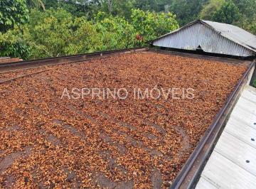20231215122715326.jpg · Fazenda Sao Jorge