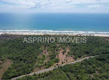 20231214175215387.jpg · Sitio Sao Vicente