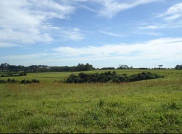 Terreno , Boituva · Área 763.495m² Plana 150 Metros Da Rodovia Castelo Branco Em Boituva SP