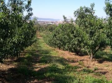 Terreno , Jundiaí · Jundiai SP Área 238.300m² Ideal Para Loteamento Condominio Medio Alto Padão