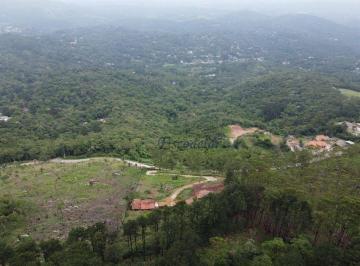 2593ef4d1e4d305a582efdf499a43a20deddc073 · Área à venda, 12000 m² por R$ 2.395.000,00 - Serra Cantareira  - Mairiporã/SP