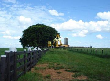 d35137096f4a38fa7f30336b16a978d81f4f6bbf · Fazenda à Venda na Região de Marilia - São Paulo