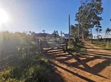 Rural · 84000m² · Sítio à venda em Joaquim egídio - SP