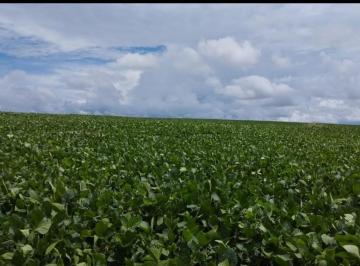 Rural de 1 quarto, Araxá · VENDO FAZENDA 210 HECTARES REGIAO DE ARAXA ( 6198 )