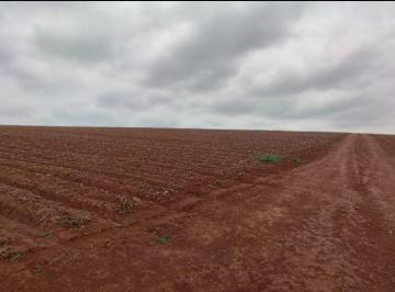 Rural de 2 quartos, Araxá · VENDO FAZENDA 595 HECTARES PARA CULTURA REGIAO DE ARAXA ( 6201 )