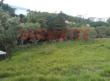 79bd6f626fb16573c0f0ed364edac4b2.jpg · Terreno