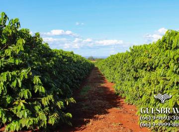 Rural , Poços de Caldas · Fazenda de Café com 270 hectares | No sul de Minas Gerais