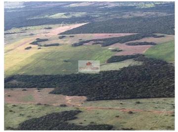 607a89ed8de5730df14954d7c60dde86.jpg · Fazenda de 700 hectares, com 380 hectares prontos para a cultura de soja