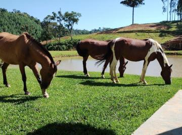 Rural · 48000m² · 2 Quartos · Chácara em Campo Alegre - SC