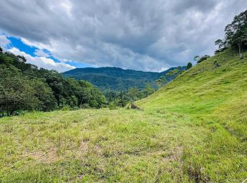 Terreno · 16501m² · Terreno à venda - em Testo Rega