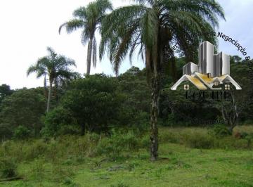 Foto 09 · Fazenda/ Sitio de 103 hectares a venda em Altamira, Nova União - MG, valor de venda R$ 1.500.000,00