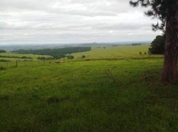 1200d61af13743e33de85b77cdb5fe68390a71cf · Fazenda Pecuária à Venda em Riversul, SP 285 Alqueires - Oportunidade Única!