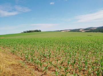ccb72f888c1ebabd033c880c220512badd7b1168 · Fazenda à Venda em Itaporanga, SP - 270 Alqueires Oportunidade Única!