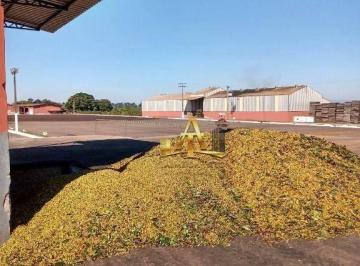 d23fa000b2f275115294316e6729bc6699a113df · Fazenda à Venda - Zona Rural - Piumhi/MG