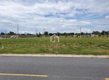 10808_iktxnehi2X965NA_10808658d789fcb4a8.jpg · Terreno à venda - em Tremembé