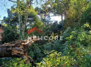 Terreno · 544m² · Lote em  rua Luis  gali - Parque das Hortências - Canela/RS