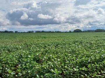 Rural de 2 quartos, Paranoá · Fazenda 42 Hectares no Paranoá DF-130 !!! 2.500.000 !!!