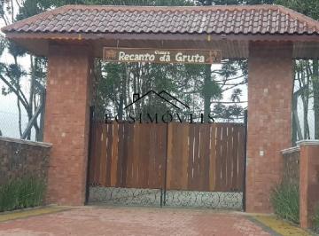 Foto 01 · Terreno, Passo Amarelo, Fazenda Rio Grande, PR